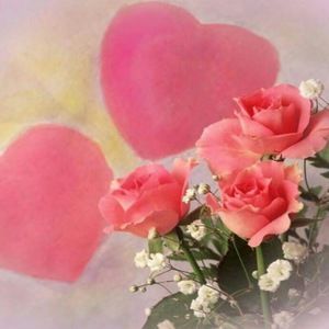 Meet your Posher, Cecilia